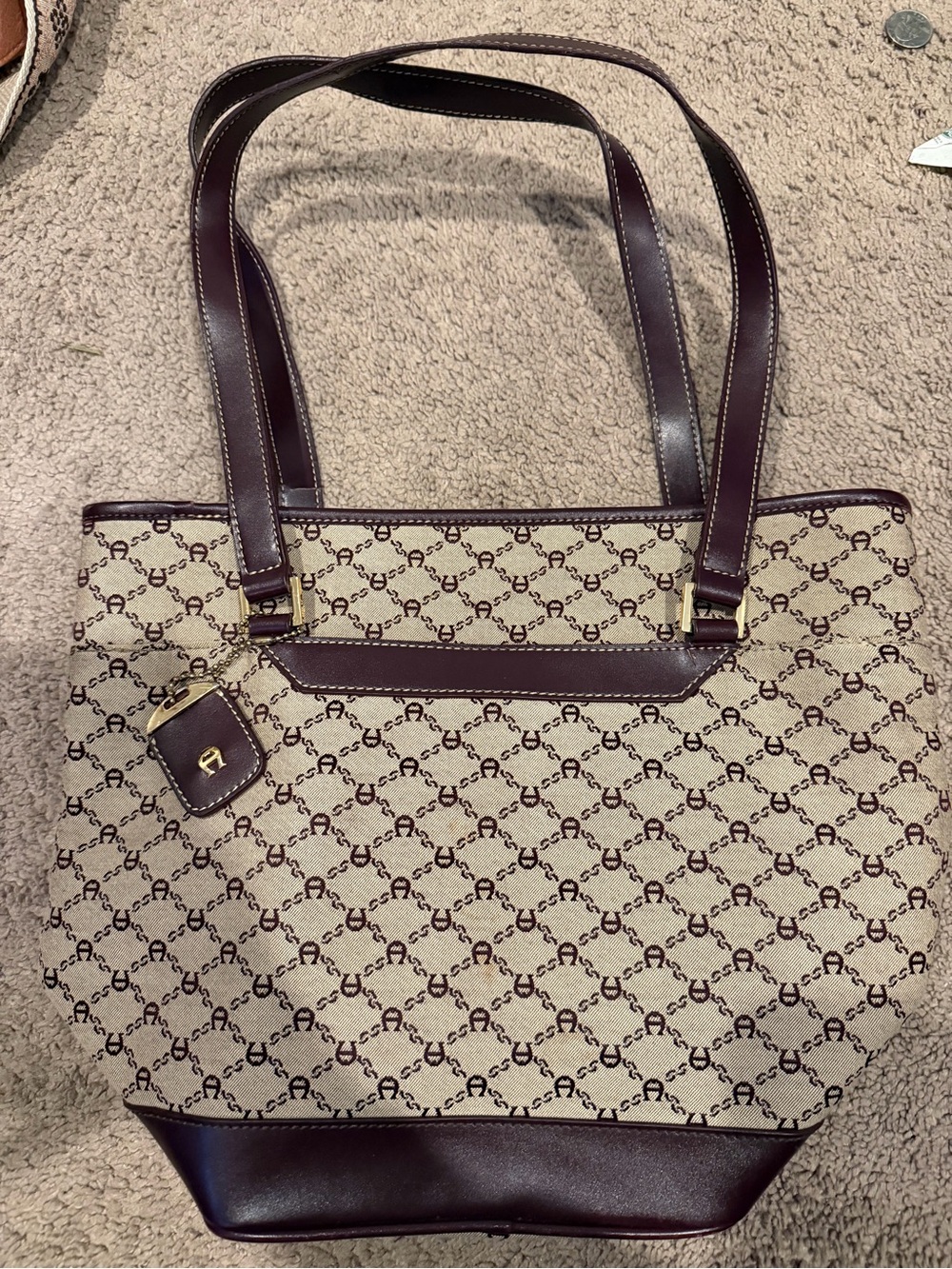 Etienne Aigner Purse with Brown Leather Trim